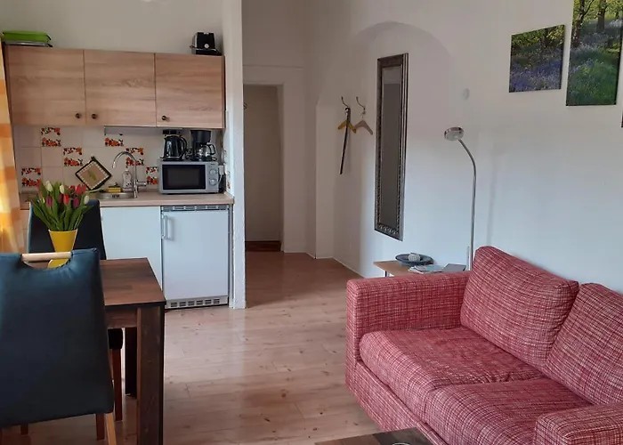 1-zimmer-apartment-2-hochparterre